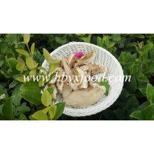 Buy Dried Mushroom Boletus with Good Quality